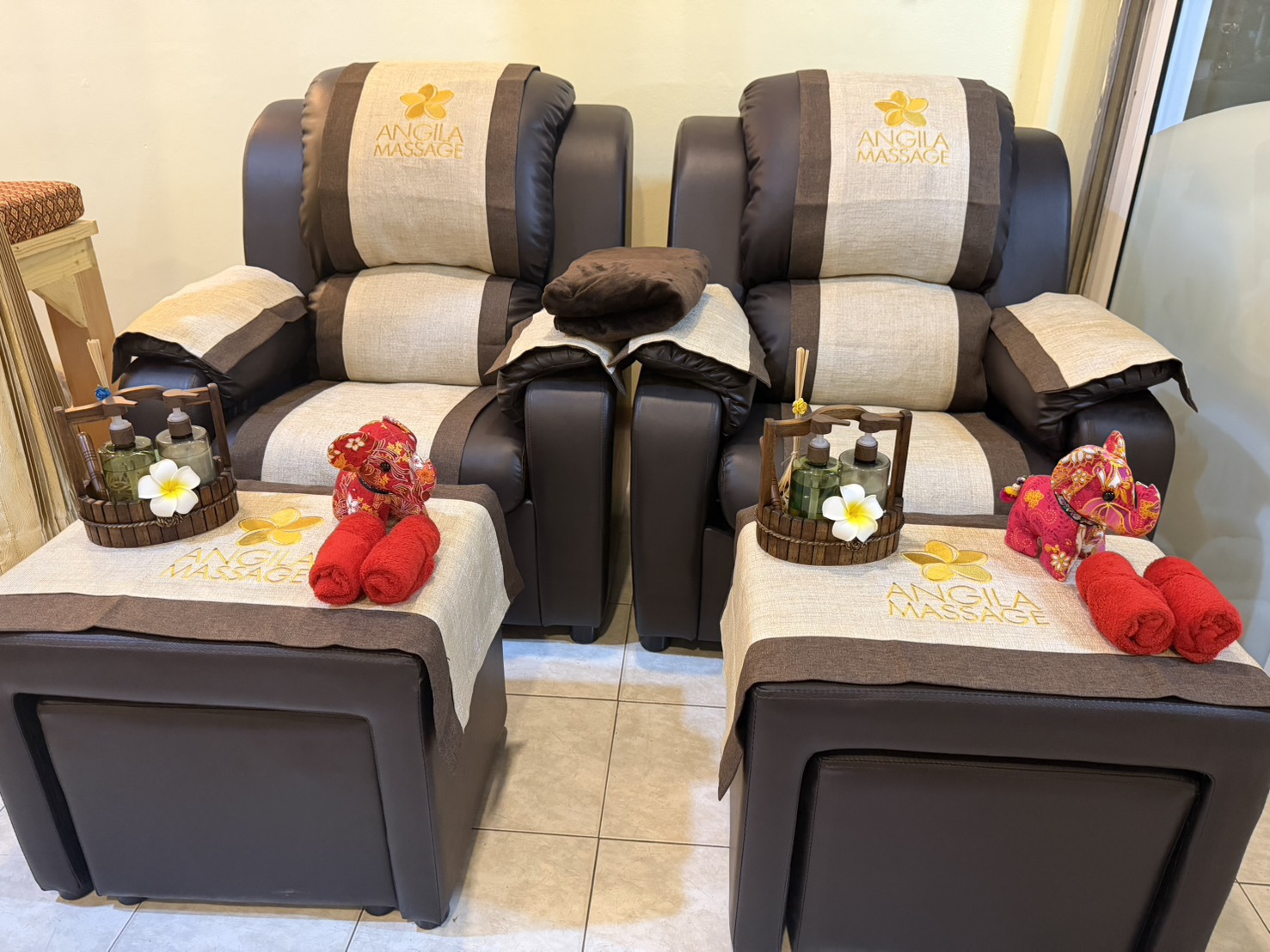 Luxury Reclining Foot Reflexology Lounge